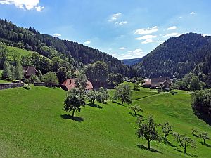 Wanderung Hornberg Schlossfelsen