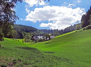 Wanderung Hornberg Schlossfelsen