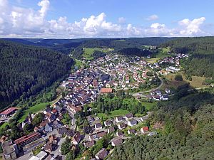 Copter Service Griesshaber - Tennenbronn aus der Luft
