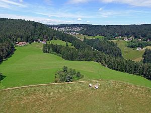 Copter Service Griesshaber - Tennenbronn aus der Luft