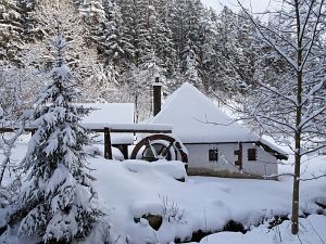 50 cm Schnee in Tennenbronn