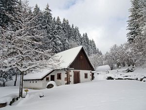 50 cm Schnee in Tennenbronn