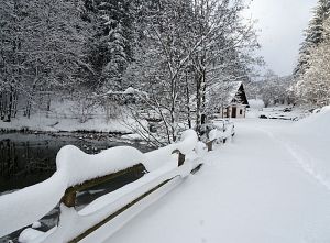 50 cm Schnee in Tennenbronn