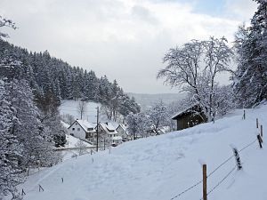 50 cm Schnee in Tennenbronn