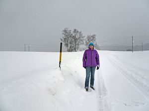 50 cm Schnee in Tennenbronn