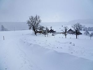 50 cm Schnee in Tennenbronn