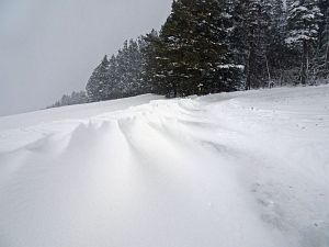 50 cm Schnee in Tennenbronn