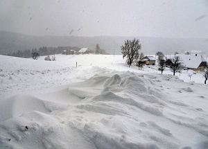 50 cm Schnee in Tennenbronn