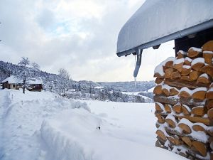 50 cm Schnee in Tennenbronn