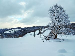50 cm Schnee in Tennenbronn