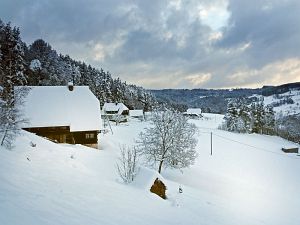 50 cm Schnee in Tennenbronn
