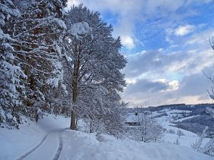 50 cm Schnee in Tennenbronn
