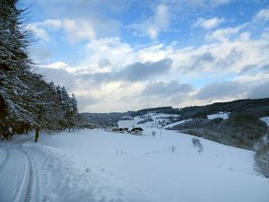50 cm Schnee in Tennenbronn