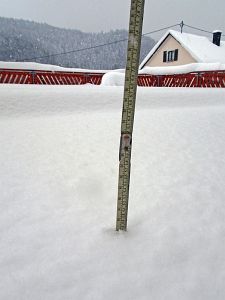 50 cm Schnee in Tennenbronn