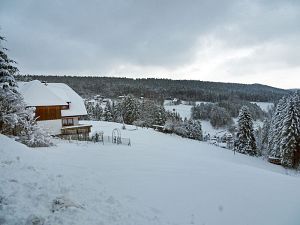 50 cm Schnee in Tennenbronn