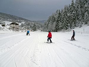50 cm Schnee in Tennenbronn