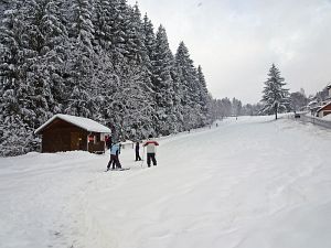 50 cm Schnee in Tennenbronn