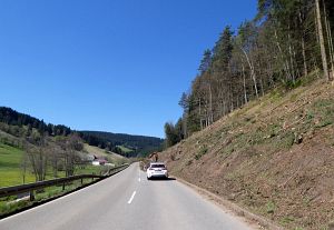 Baumfllarbeiten am Ortsausgang  