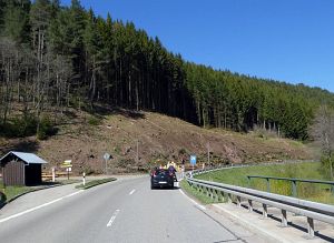 Baumfllarbeiten am Ortsausgang  
