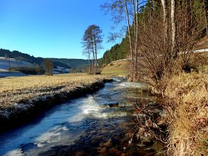 Neujahrsspaziergang