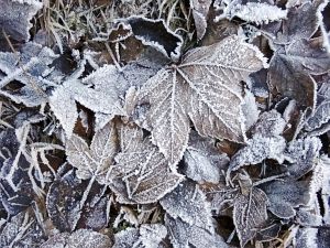 Neujahrsspaziergang