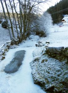 Neujahrsspaziergang