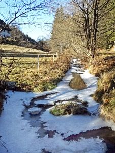 Neujahrsspaziergang