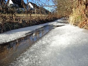 Neujahrsspaziergang