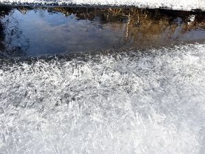 Neujahrsspaziergang