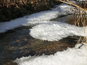Neujahrsspaziergang