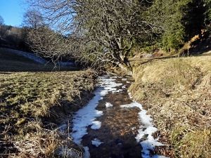 Neujahrsspaziergang