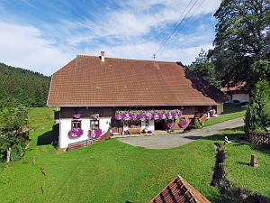 Gersbachtal im Sommer