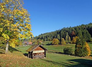 Herbst in Tennenbronn 2017