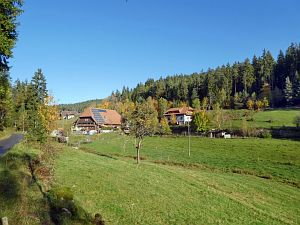 Herbst in Tennenbronn 2017