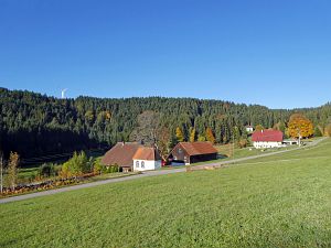Herbst in Tennenbronn 2017