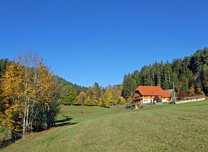 Herbst in Tennenbronn 2017