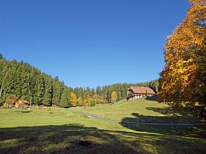 Herbst in Tennenbronn 2017