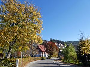 Herbst in Tennenbronn 2017