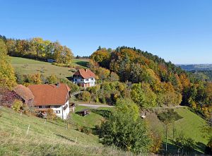 Herbst in Tennenbronn 2017