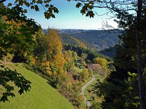 Herbst in Tennenbronn 2017