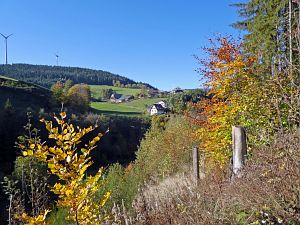 Herbst in Tennenbronn 2017