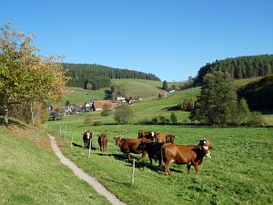 Herbst in Tennenbronn 2017