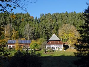 Herbst in Tennenbronn 2017