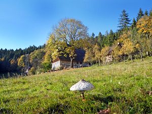 Herbst in Tennenbronn 2017