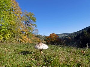 Herbst in Tennenbronn 2017
