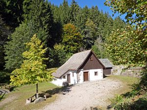 Herbst in Tennenbronn 2017