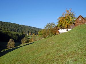 Herbst in Tennenbronn 2017