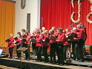 Konzert Just Singing