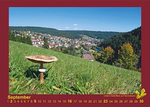 Kalender Tennenbronn 2018