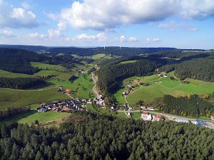 Tennenbronn vom Mittelberg